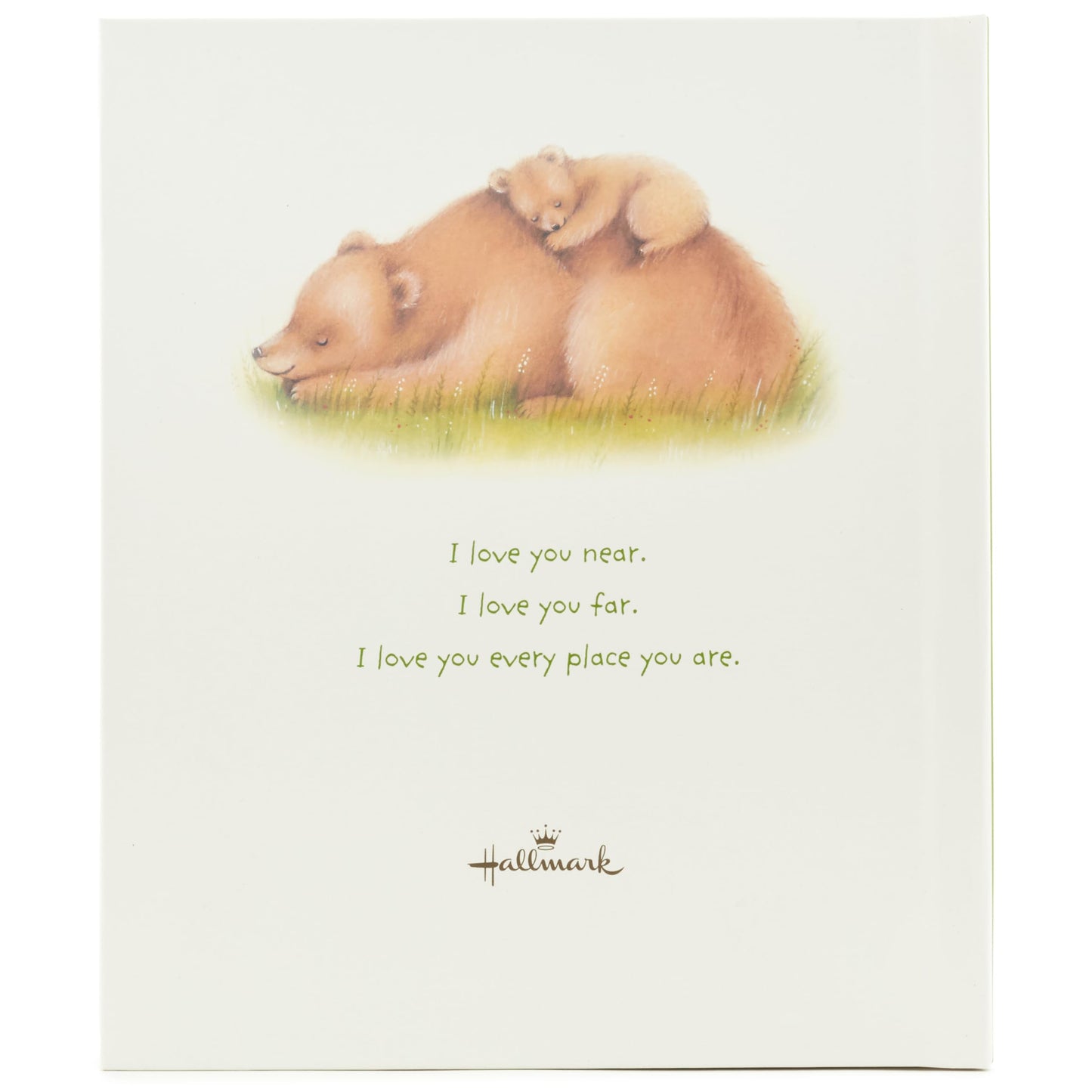 Hallmark Recordable Book With Music For Children (All The Places I Love You)
