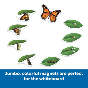 Learning Resources Butterfly Life Cycle, 9 Write And Wipe Pieces, Classroom Accessories, Teaching Aids
