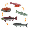 Safari 100267 Life cycle of a Salmon Figurine  Multi color