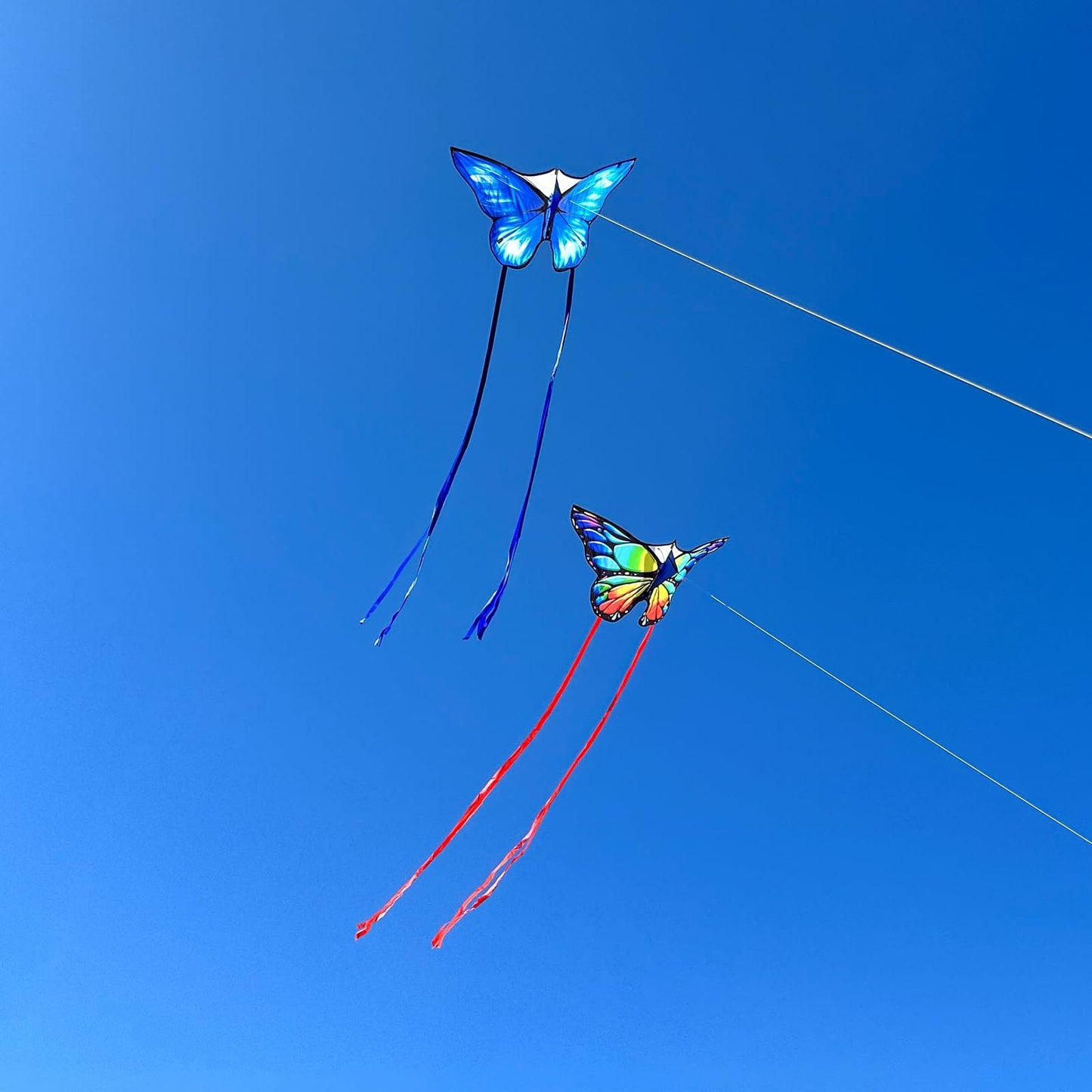 Simxkai 2 Pack Butterfly Kite For Kids & Adults, Easy To Fly Kite For Beginners, Each Kite With 300Ft Line