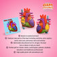 Giantmicrobes Anatomical Heart Plush, Human Heart Model, Heart Anatomy Model, Real Heart Plush, 3D Heart Model Anatomy, Open Heart Surgery Gifts, Heart Transplant Gifts, Heart Attack Survivor Gifts