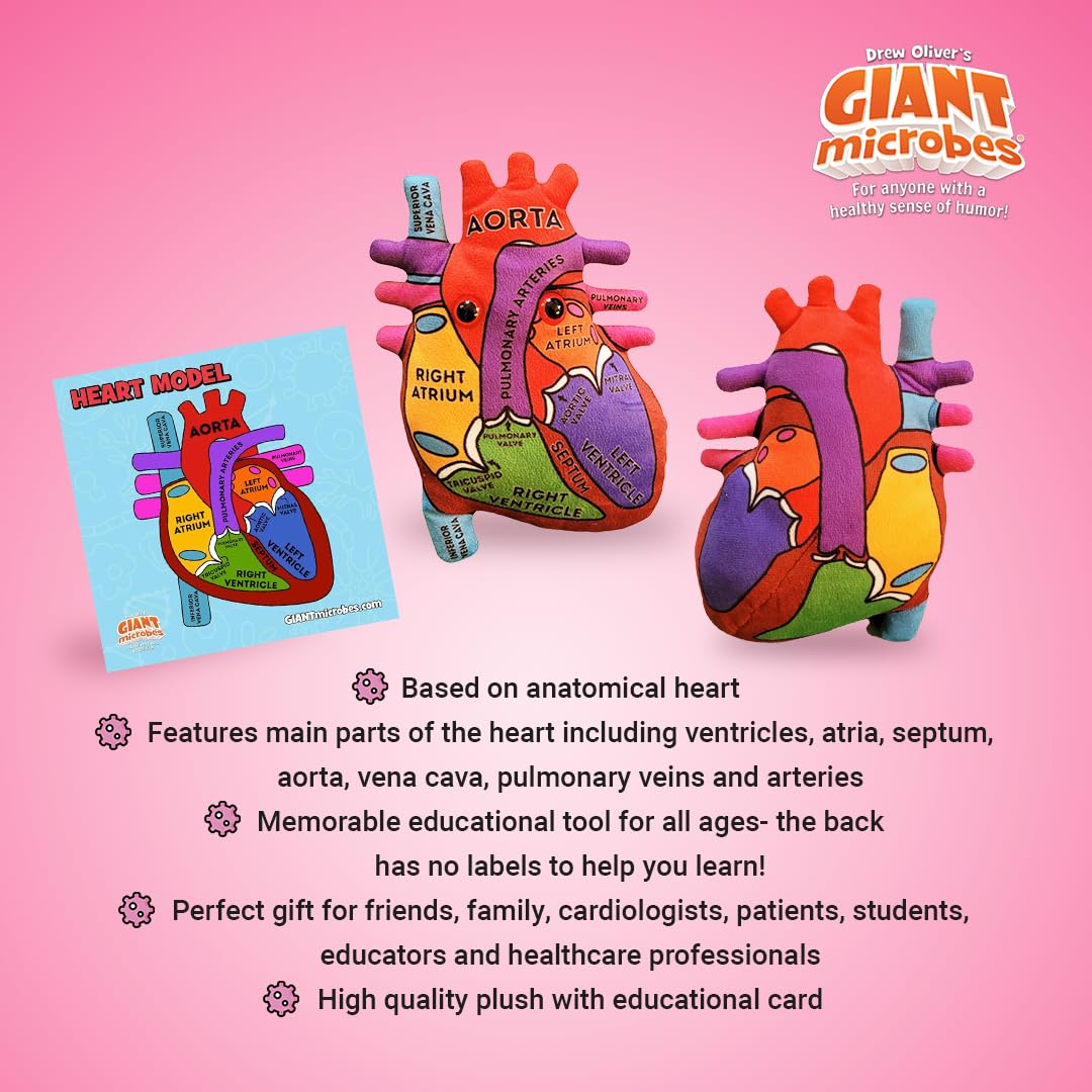 Giantmicrobes Anatomical Heart Plush, Human Heart Model, Heart Anatomy Model, Real Heart Plush, 3D Heart Model Anatomy, Open Heart Surgery Gifts, Heart Transplant Gifts, Heart Attack Survivor Gifts