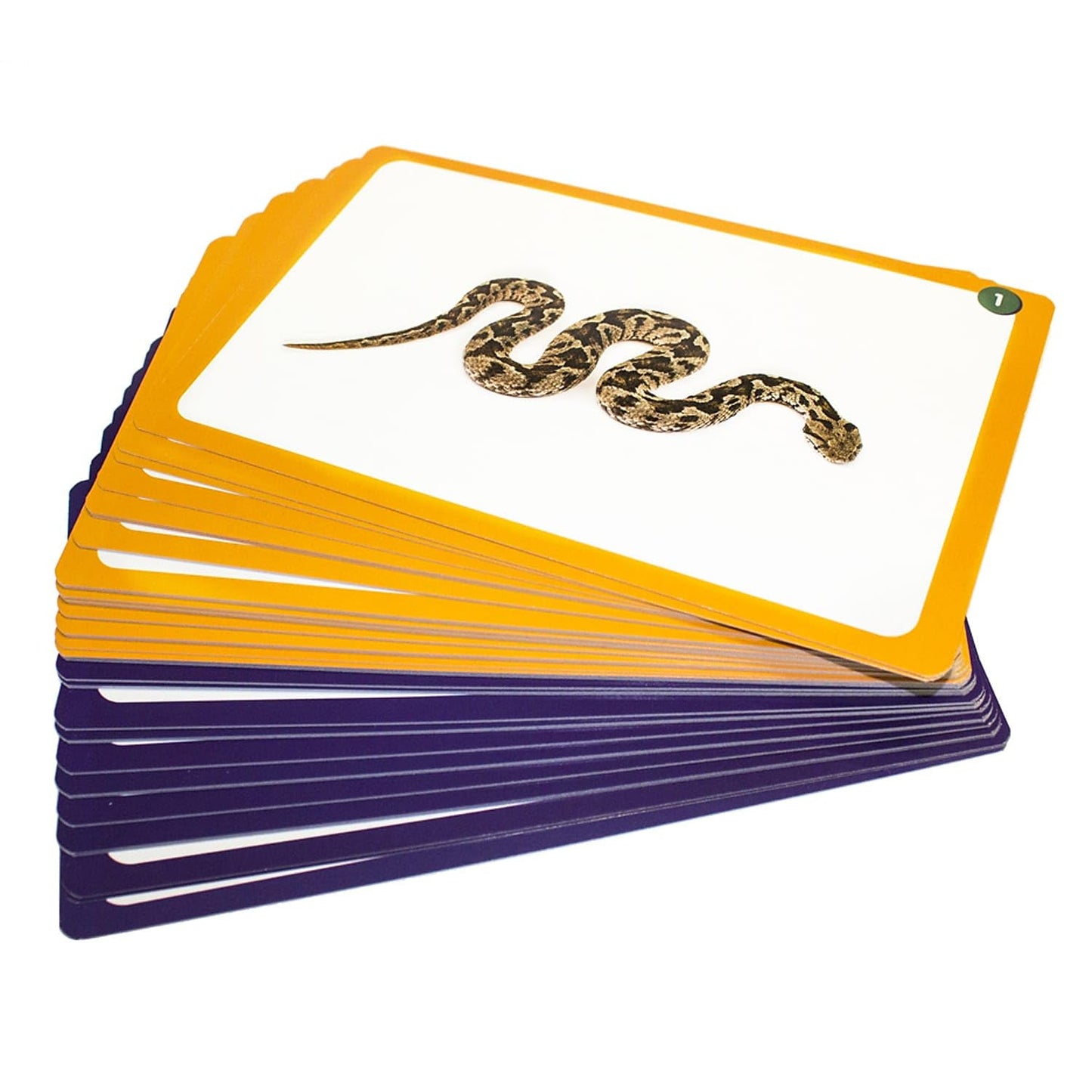 Junior Learning Jl269 44 Sound Cards