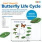 Learning Resources Butterfly Life Cycle, 9 Write And Wipe Pieces, Classroom Accessories, Teaching Aids