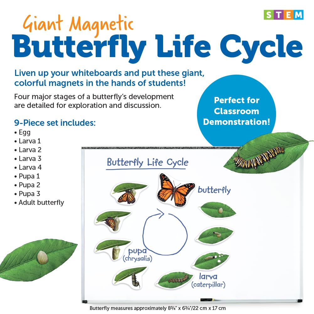 Learning Resources Butterfly Life Cycle, 9 Write And Wipe Pieces, Classroom Accessories, Teaching Aids