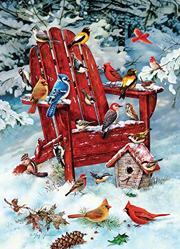 Cobblehill 80069 1000 Pc Adirondack Birds Puzzle, Various