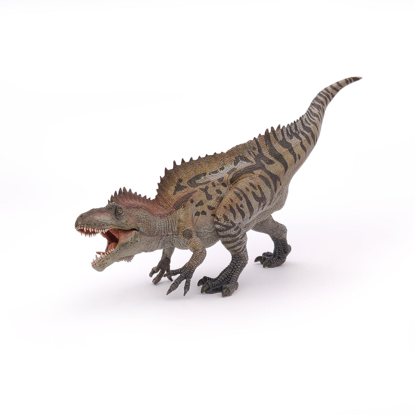 Papo - Acrocanthosaurus - Realistic Figurine - 3 Years Old - Dinosaurs Collection - Hand Painted - Educational Dinosaur Toy - Fa