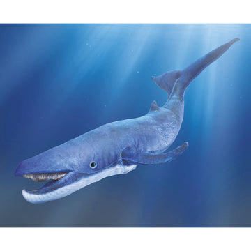 Folkmanis Blue Whale Hand Puppet