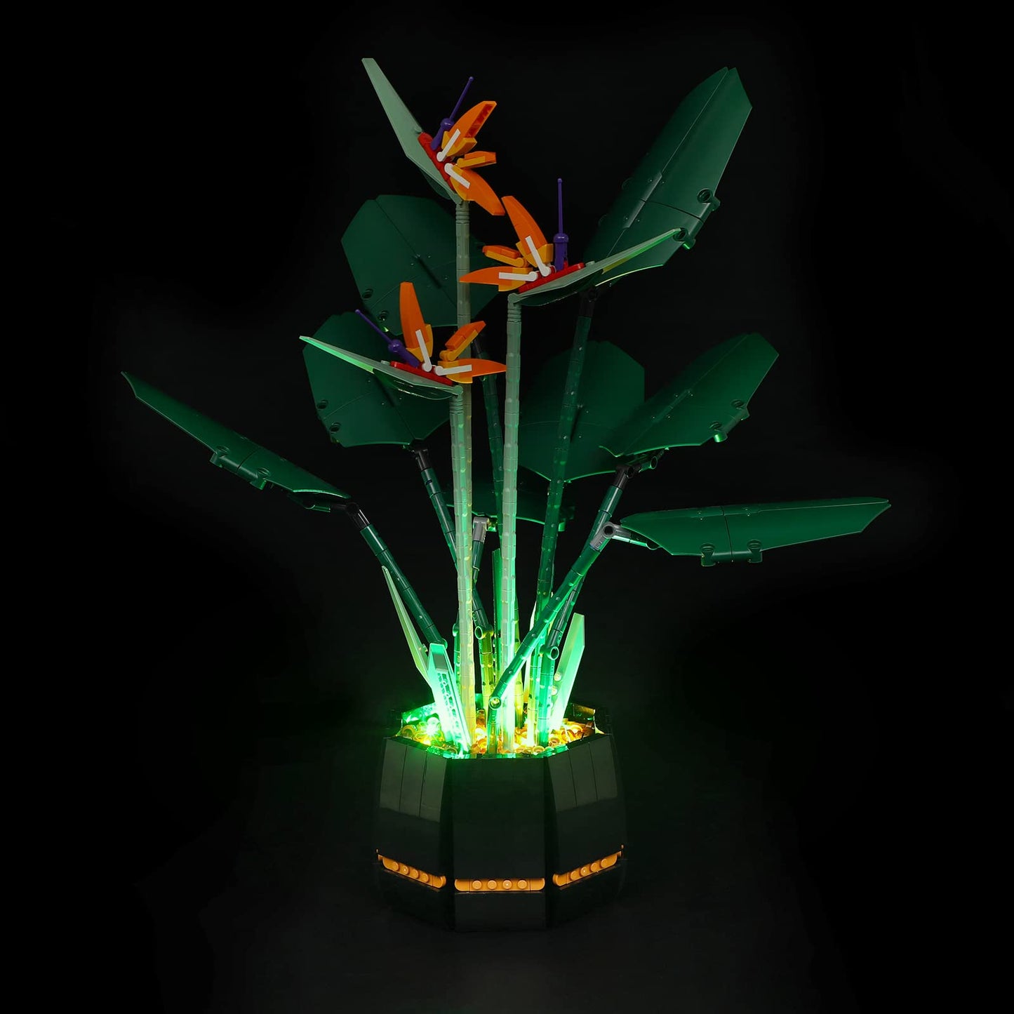 Briksmax Led Lighting Kit For Creator Bird Of Paradise - Compatible With Lego 10289 Building Blocks Model- Not Include The Lego Set