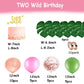 Two Wild Birthday Party Decorations, Jungle Themed Secend Girl Birthday Party Supplies Set Cute Animals Head Balloons And Two Wi