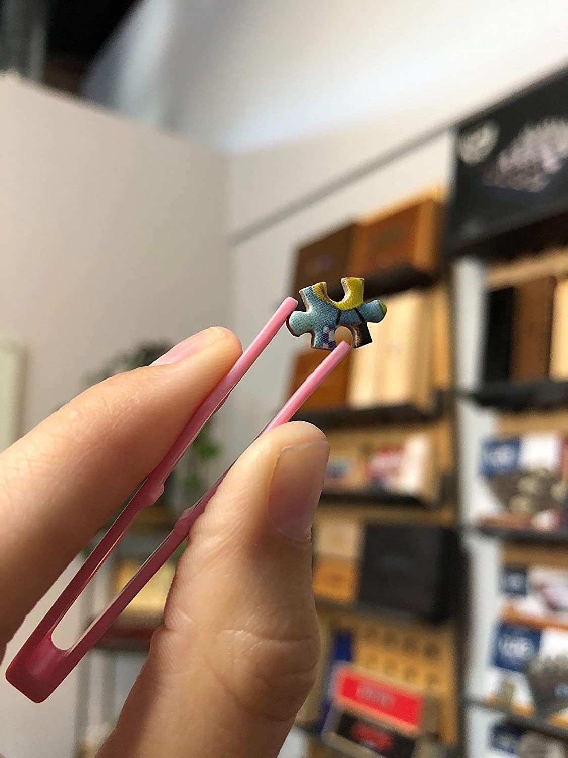 World’S Smallest Jigsaw Puzzle – Lady Liberty