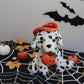 Plushland Halloween Pawpals 8 Inches Puppy Dog Plush Stuffed Toy Comes With Hat And Halloween Jack O Lantern - Pumpkin For Kids On This Holiday (Dalmatian)