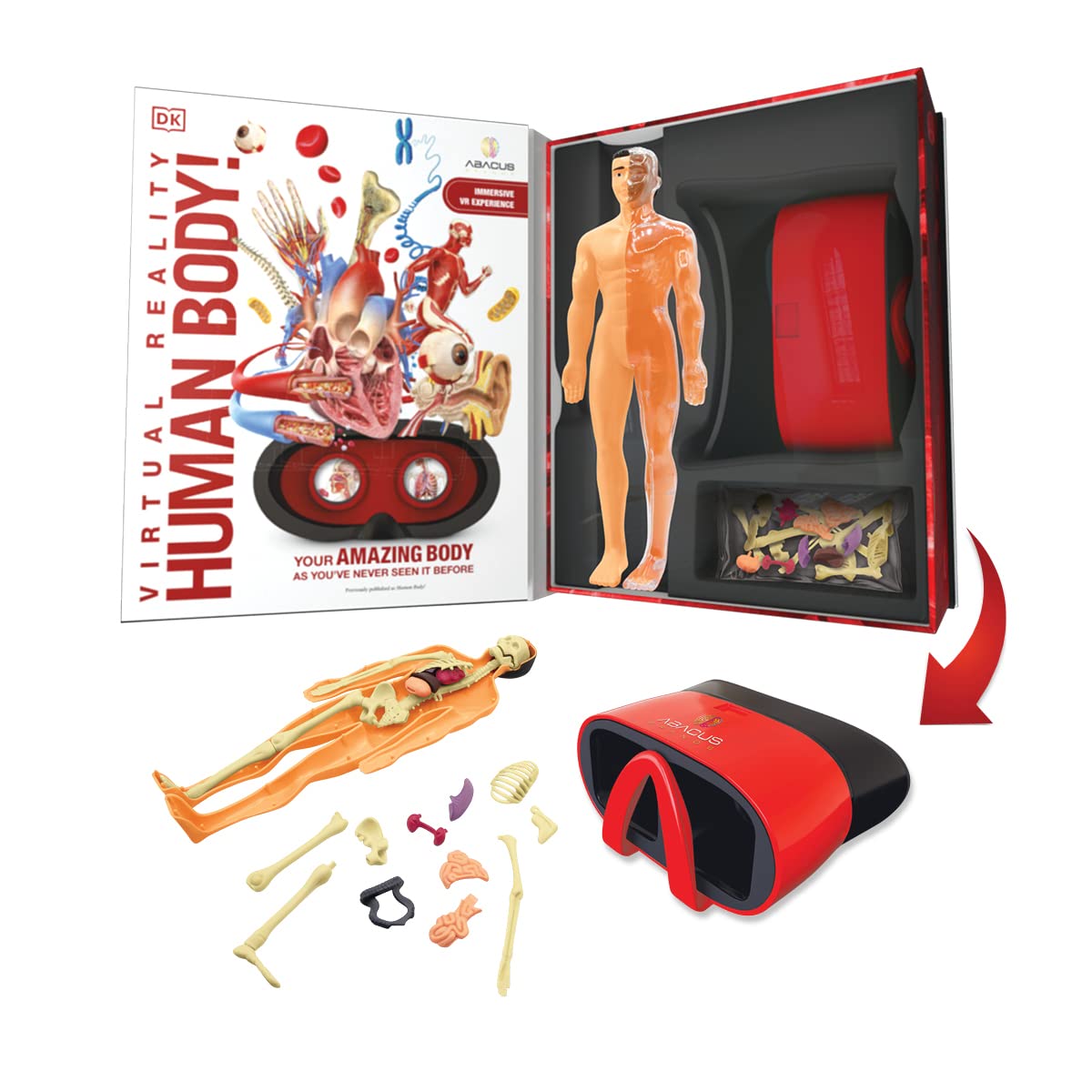 Abacus Brands Virtual Reality Human Body Gift Box- Illustrated Interactive Vr Book And Stem Learning Activity Set - For Ages 8 And Up