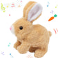 Hopping Walking Bunny Toy with Sounds, Jumping Rabbit Wiggling Ears, Twitching Mouth and Nose, Educational Interactive Bunny Toy
