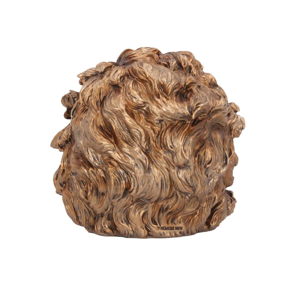 Nemesis Now Theory Of Relativity, Bronze, 21Cm