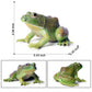 Scahow Plastic Frog Toys For Kids, Rainforest Animals Figures, Rubber Bullfrog Figurine, Forest Woodland Animals Toys, Frog Deco