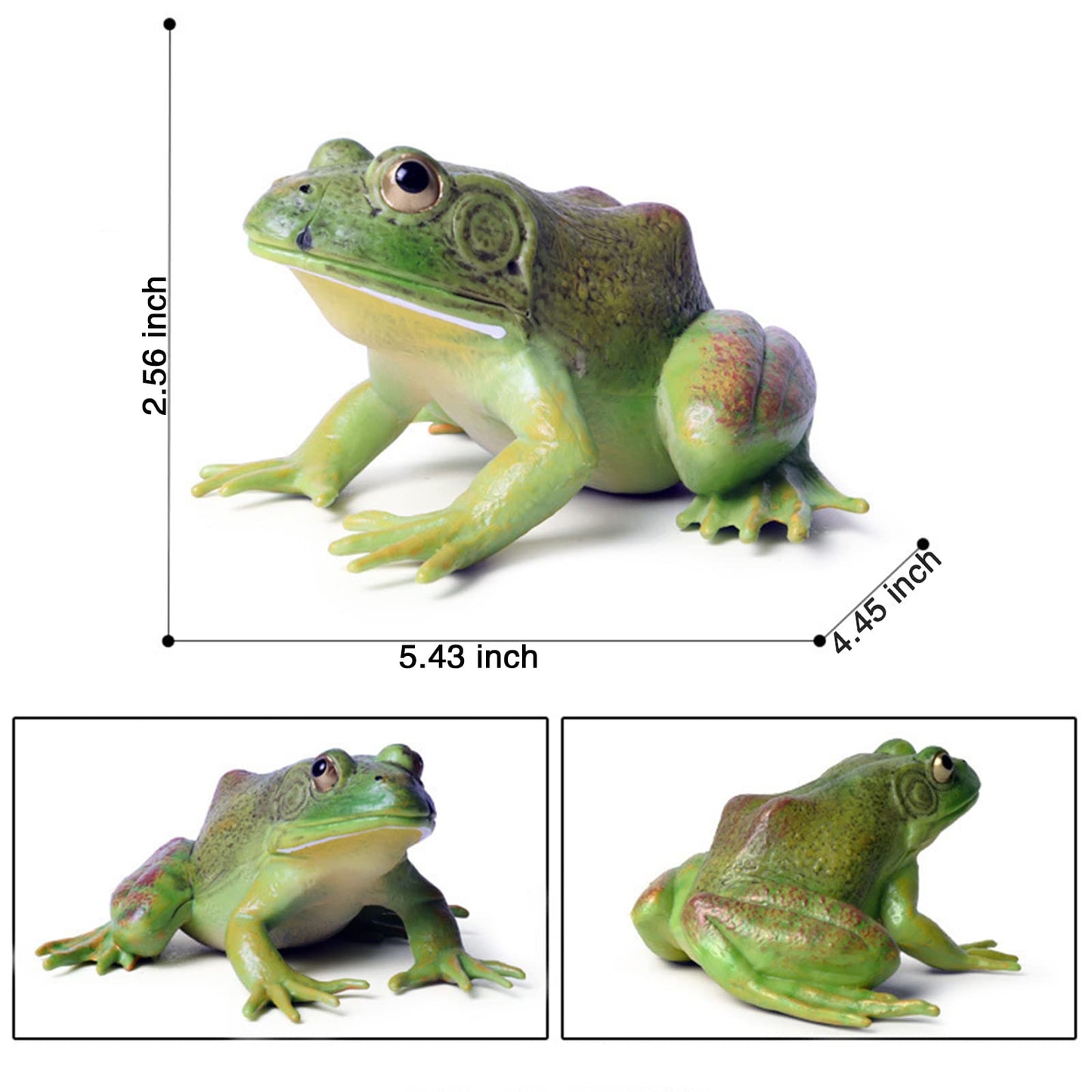 Scahow Plastic Frog Toys For Kids, Rainforest Animals Figures, Rubber Bullfrog Figurine, Forest Woodland Animals Toys, Frog Deco