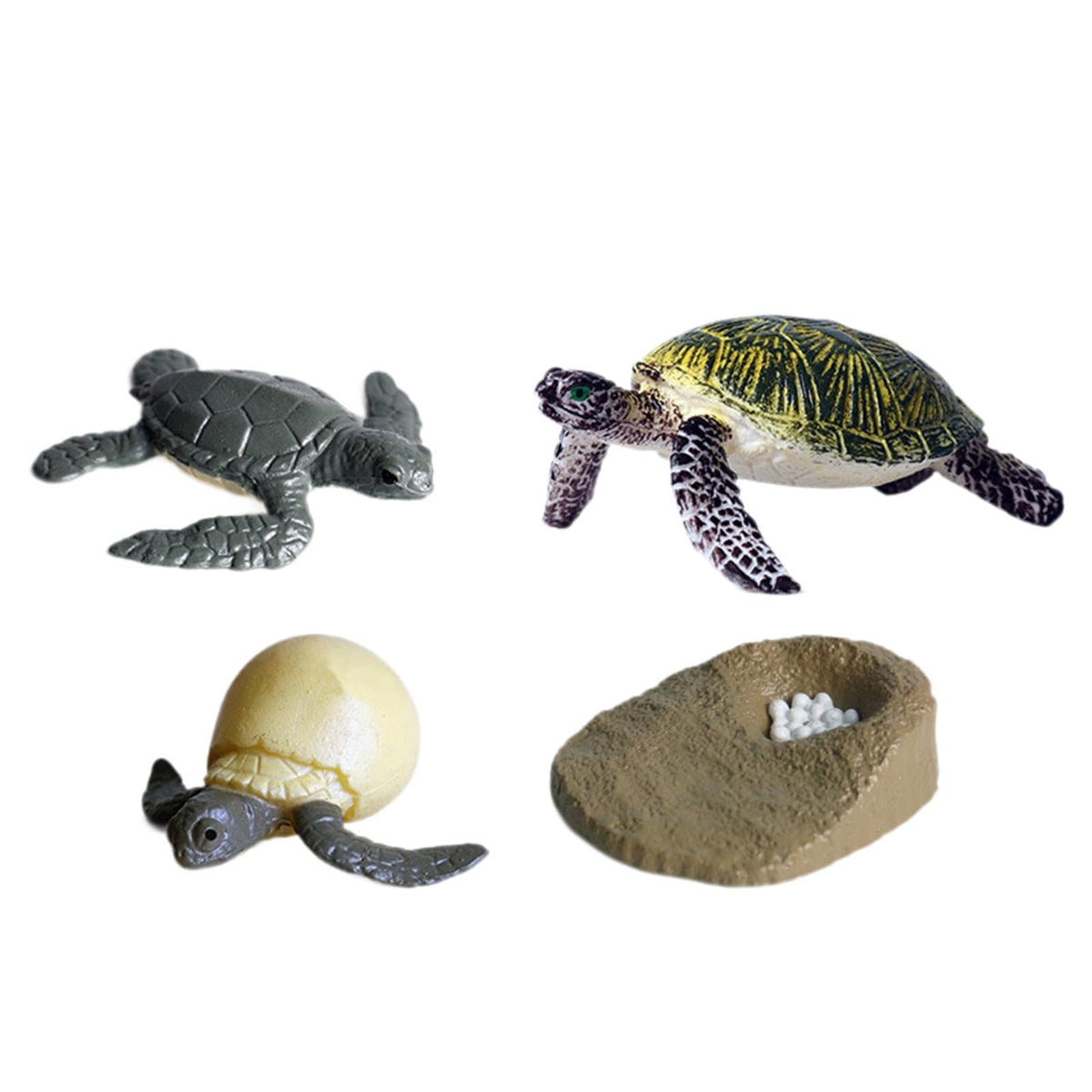 Bnf 4Pcs Sea Turtle Growth Cycle Set Educational Toy Education Toy For Boy Girlsbaby | Toys For Baby | Developmental Baby Toys1 