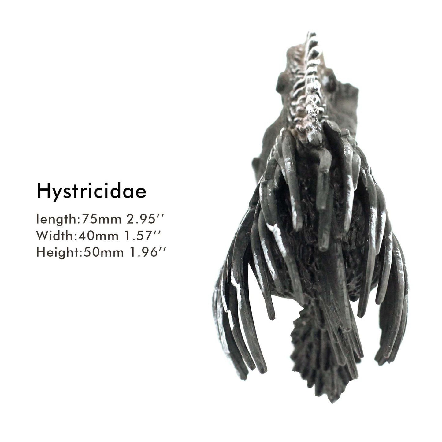 Funshowcase African Jungle Animals Hystricidae Toy Figure Realistic Plastic Figurine Height 2.4-Inch