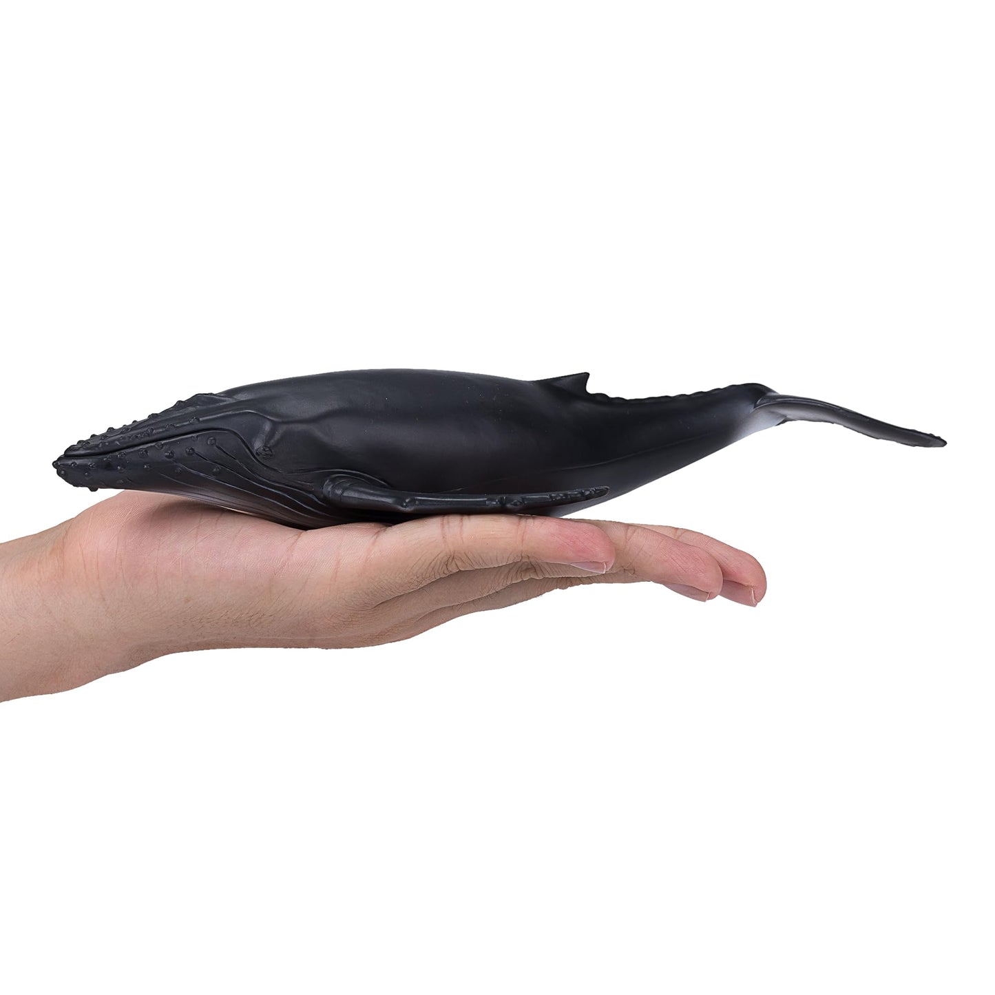 Mojo Humpback Whale Realistic International Wildlife Hand Painted Toy Figurine