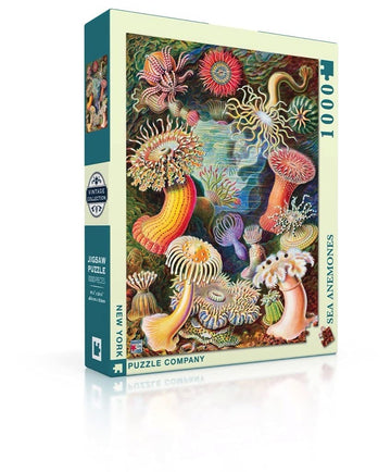 New York Puzzle Company 1000 Piece Jigsaw Puzzle - Vintage Images Sea Anemones by Ernst Haeckel - Cardboard
