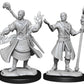 D&D Nolzur'S Marvelous Miniatures: Half-Elf Wizard Male