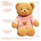 Galatee Cute Teddy Bear Plush Stuffed Animal, Teddy Bear With Coffee Hoodie, Gifts For Children(15.7'' Pink)