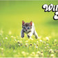 Play Mat: Kitten