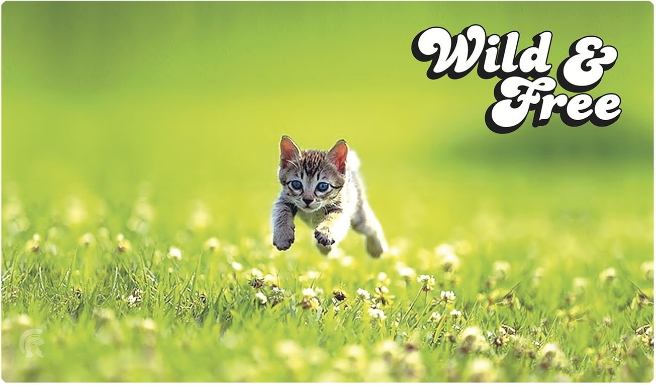Play Mat: Kitten