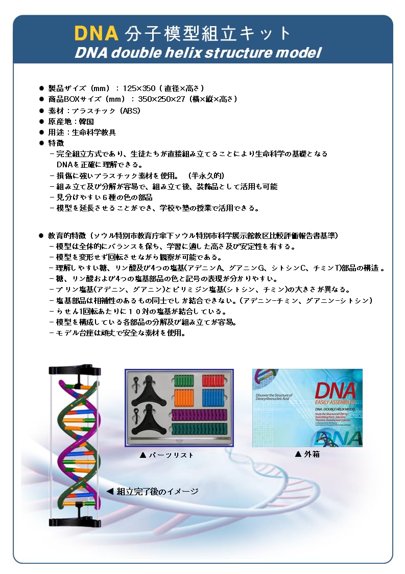 Dna Double Helix Model