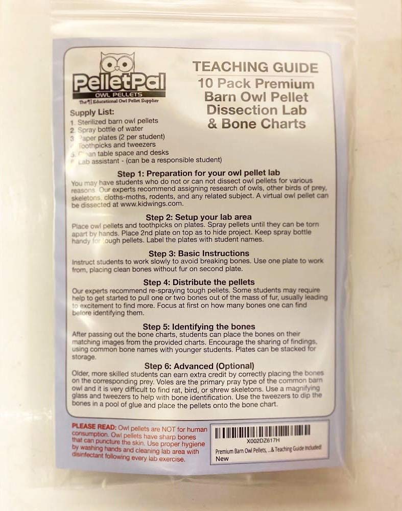 project piecePal enhanced Barn Owl project pieces  Large (Pack of 10) - Free Bone ID Chart  10 Forceps  10 Paddle Picks  and Teaching Guide Included!