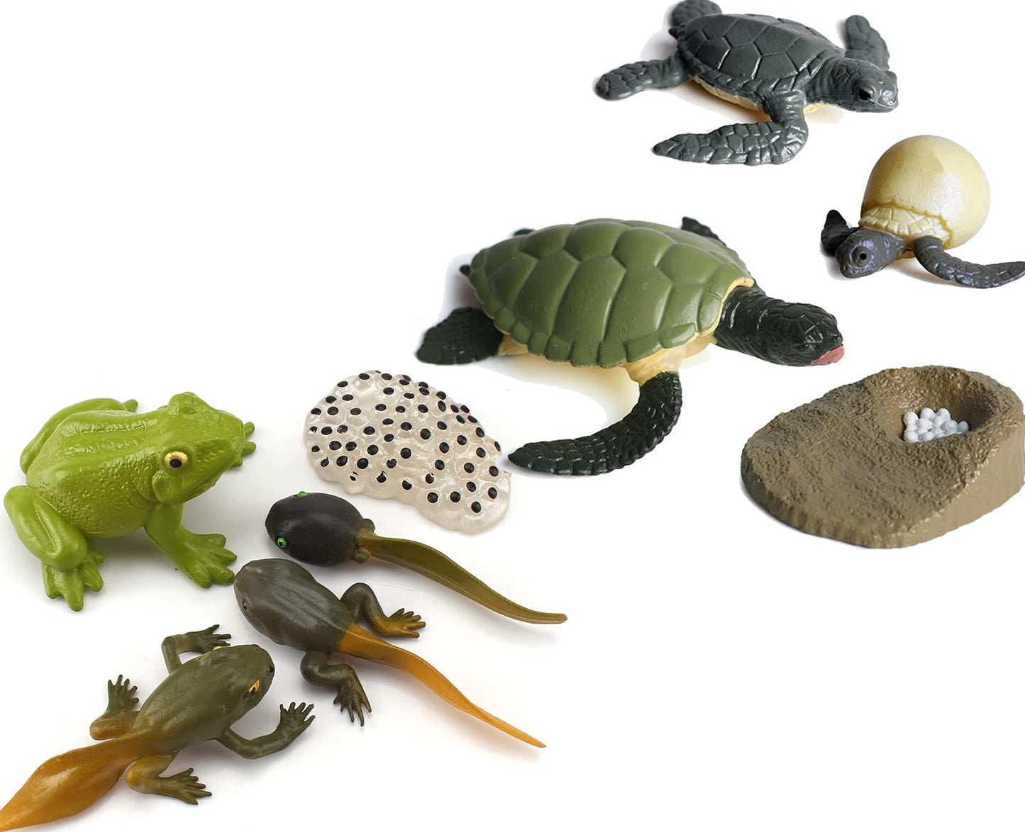 Gemini&Genius Life Cycle of Frog and Sea Turtle Toys, Insect Growth Diary Action Figures, Super Fun for Learning Gifts, Party Fa