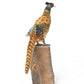 Hansa Pheasant Soft Toy Bird, 12-Inch Height, Multicolor