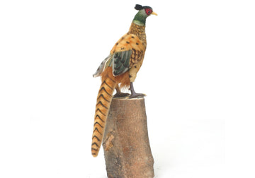 Hansa Pheasant Soft Toy Bird, 12-Inch Height, Multicolor