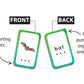 Decoding Cvc Words Flash Cards