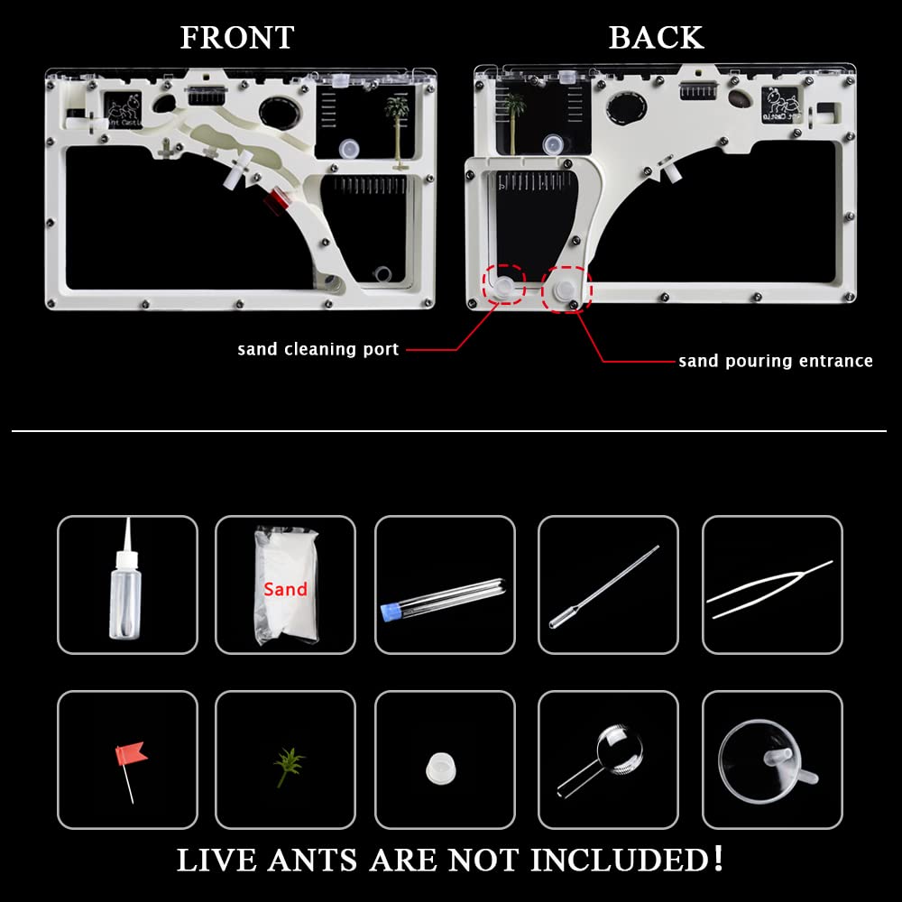 Ant Farming Castle, Habitat Science Learning Kit, Farms For Live Ants, Colony Educational Toy Kit Kids