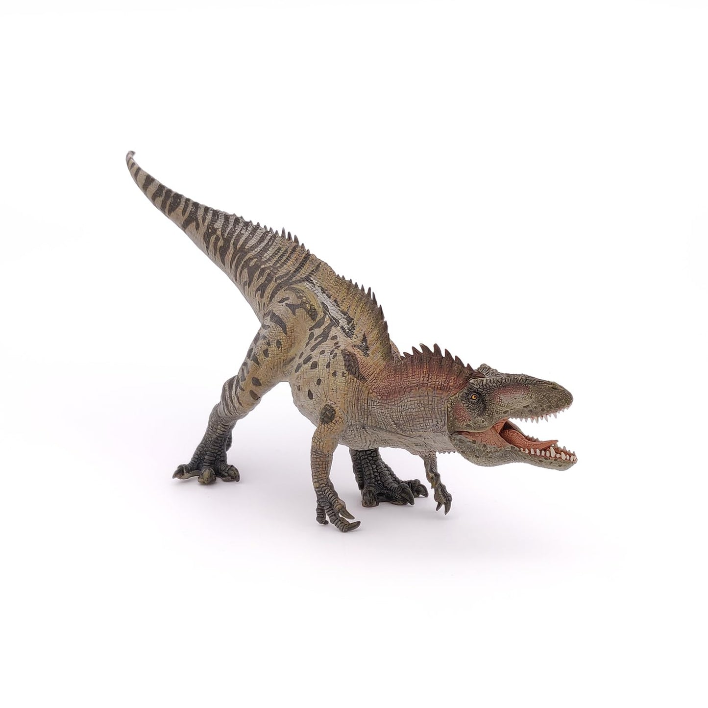 Papo - Acrocanthosaurus - Realistic Figurine - 3 Years Old - Dinosaurs Collection - Hand Painted - Educational Dinosaur Toy - Fa