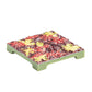 Monster Adventure Terrain- 50Pc Forest Floor Tile Expansion Pack- Painted 1X1 Tile Set- Amazing Tabletop Terrain In Minute- Customize Your D&D And Pathfinder Dungeons Your Way