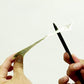 Magic Tricks Pen - The Original Pen Thru Bill Trick