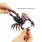 Tipmant Simulation RC Scorpion Remote Control Animal Vehicle Car Electric Scary Toy Halloween Kids Birthday Gift
