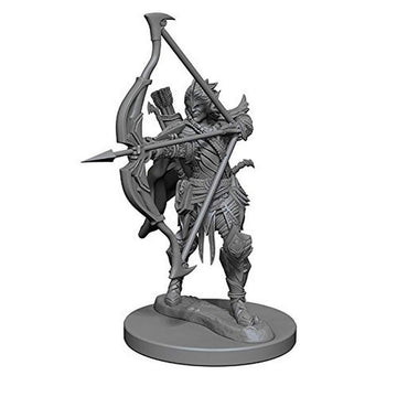 Pf Dc: Elf Male Fighter W1