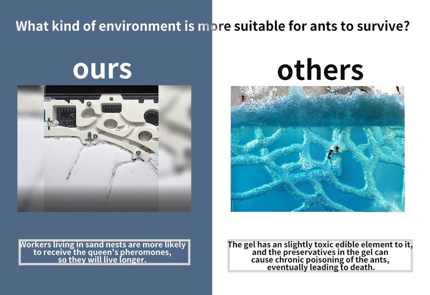 Ant Farming Castle, Habitat Science Learning Kit, Farms For Live Ants, Colony Educational Toy Kit Kids