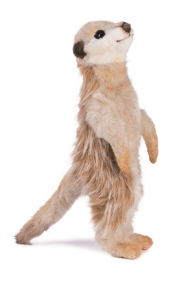 Hansa Meerkat #5326