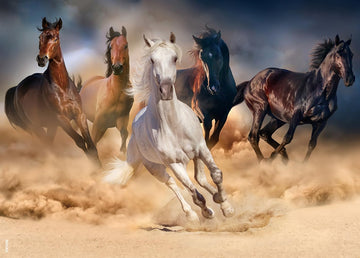 Beduke Jigsaw Puzzles For Adults 1000 Pieces Family Game Horse 1000 Piece Puzzle Thick Sturdy Precise Interlocking Age 14+