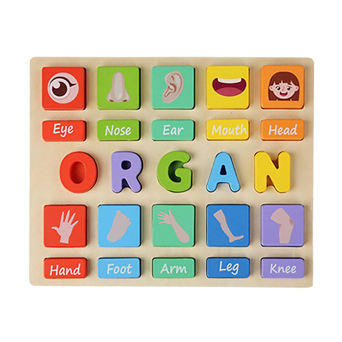 Atorse Puzzle Game Practicing Sensory Toy Practical Matching Blocks Montessori Toy Organ