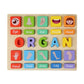 Calandis Puzzle Game Practicing Sensory Toy Practical Matching Blocks Montessori Toy Organ | Other Educational Toys | Educationa