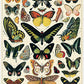 Cavallini Vintage Jigsaw Puzzle - 1000 Pieces, 55x70cm, Cardstock, Multi Color, Model PZL/BTR