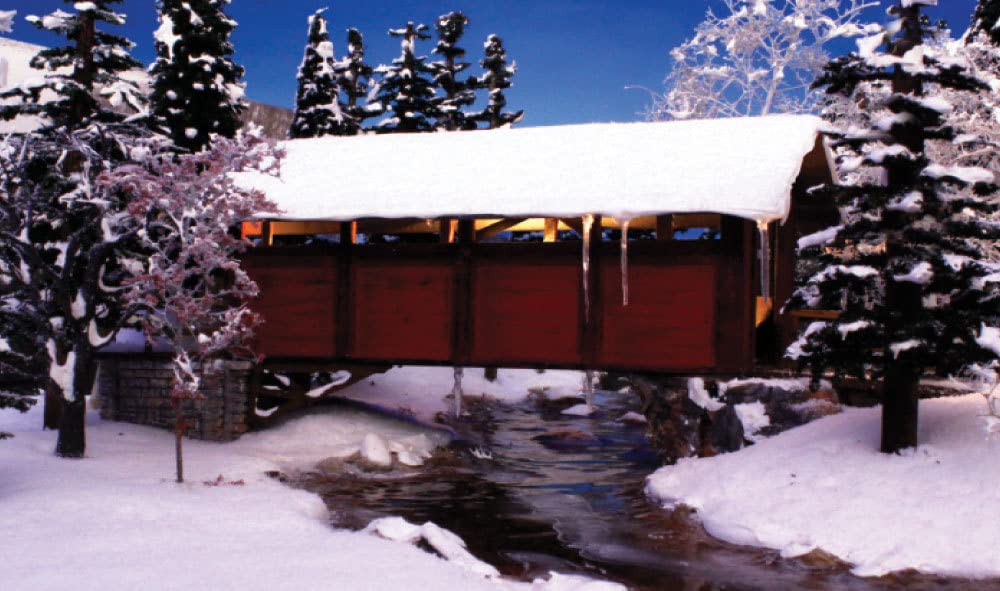 Snow 3.6 Cubic Inches-