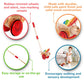 Award Winning Hape Butterfly Wooden Push And Pull Walking Toy, L: 6.3, W: 5.8, H: 22.2 Inch, Red