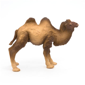 Papo -Hand-Painted - Figurine -Wild Animal Kingdom - Bactrian Camel -50129 -Collectible - For Children - Suitable For Boys And Girls- From 3 Years Old